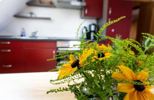 Ferienwohnungen Ganßer - Foto 13