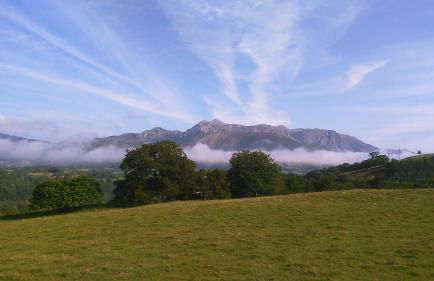 Finca el Palacio - Foto 6