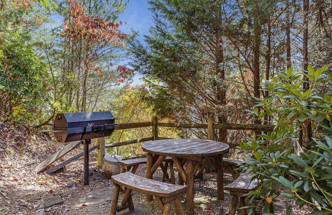 Bear Slide - Foto 13