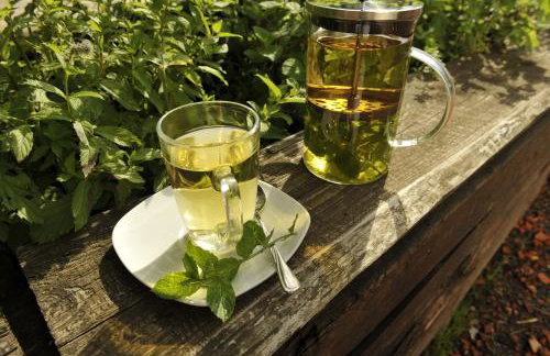 Lehmhof-Lindig - Foto 18