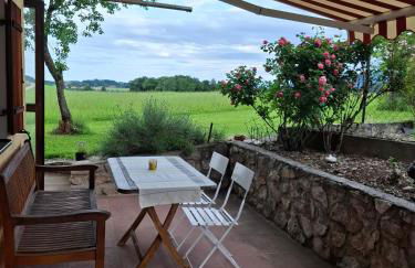 Beim Grafen - Foto 52