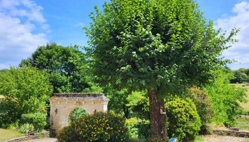 Domaine de Bagnegrole - Foto 2