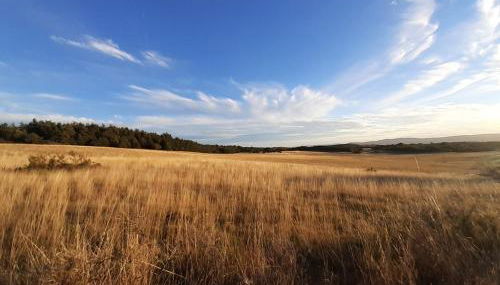 Le Moulin aux Lavandes - Foto 4