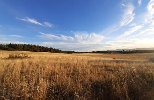 Le Mas des Oliviers - Foto 4