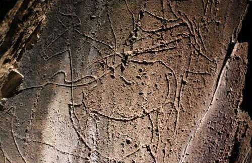 Casa da Laja - Casas de Villar- Rural Experience - Foto 31