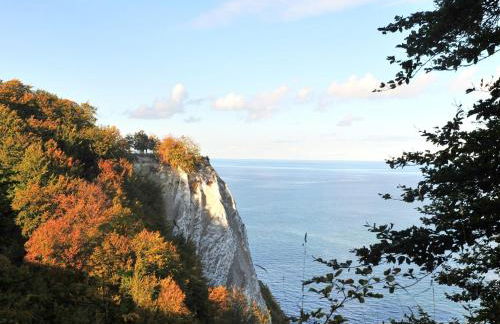 Cosy apartment for family in Sellin - Foto 40