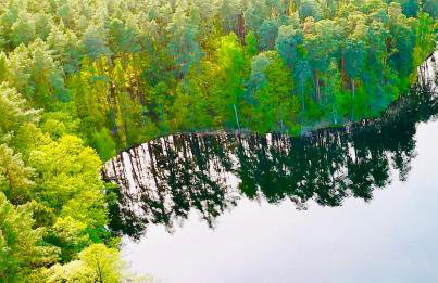 Dobrostan Domek w Naturze - Foto 36