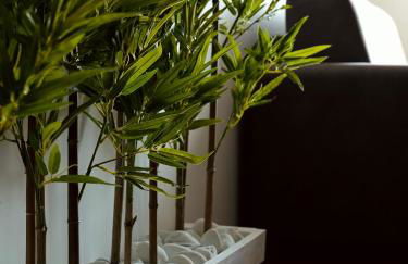 Casa Lido Luce - Apartment Ostia Lido Rome - Foto 6