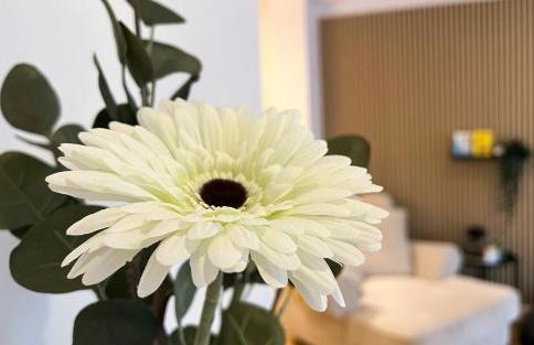 Modernes Studio Appartement mit Leseecke - Foto 13