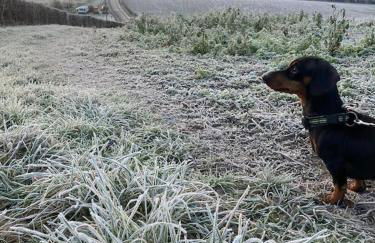 Little Corners - Foto 44