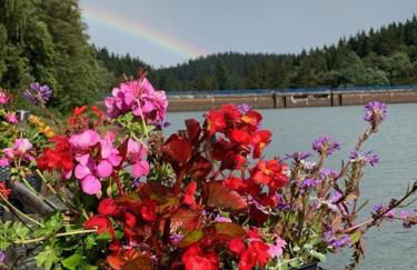 Holidayhaus-Lütsche / Wohnung Schmücke - Photo 11