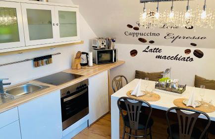 VILLA SUNSHINE "SUNSHINE SUITE" NAD JEZIOREM KOMINEK i WANNA w SALONIE OGRóD BALKON - Foto 8