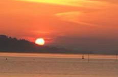 La Langouste ROUGE - Foto 46