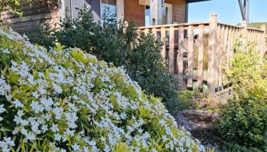Gîte, aux portes du Morvan - Foto 5