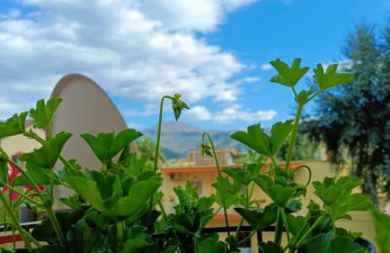 Casa Vacanze PepeNero - Photo 40