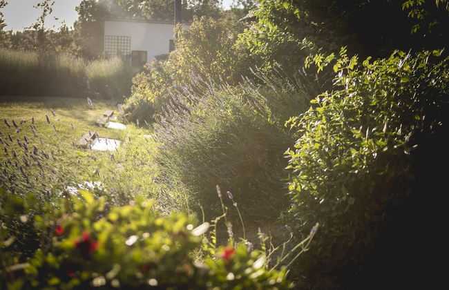 La Fonte di Montebuono - Foto 54