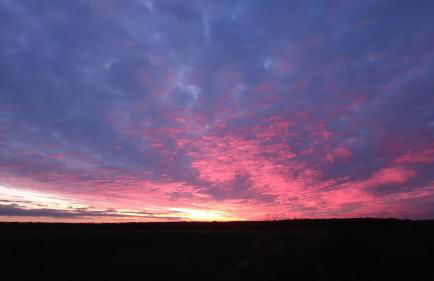 Vierseitenhof Hasenfelde - Ferienwohnung Feldblick - Foto 23