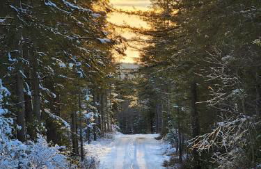 The Davis Ridge - Photo 41