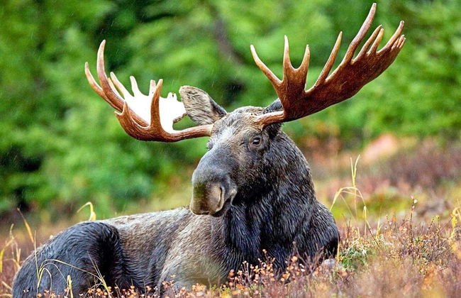 Holiday Home in Bruzaholm - Photo 3