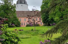 Plüschmors - Photo 27