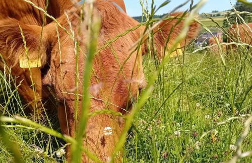 Waldacher Hof - Foto 9