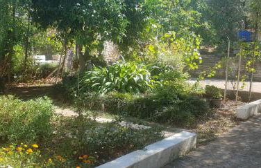 DOWNTOWN GARDEN - Foto 4