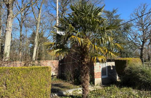 Maison de campagne lumineuse spacieuse dans impasse au calme a proximité d'un chateau deux vérandas grand jardin cabane pour vélos, pres Port en Bessin et Bayeux, proche plages du débarquement - Foto 35