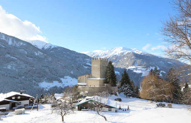 Burg Biedenegg, Heidenreich - Foto 29