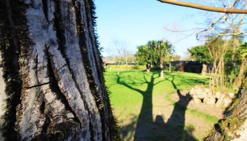 Casa dos Ouriços - Foto 5, Garden, Garden view