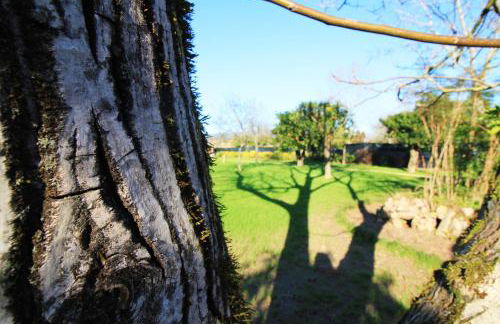 Casa dos Ouriços - Foto 5