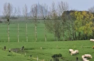 Le Nature - Foto 20