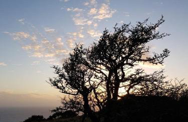 Cottage near Corfe & Jurassic Coast - Foto 21