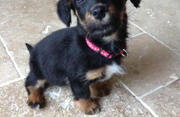 Best Beach 2025 "Little Haven" & The Hidden Gem - Foto 31