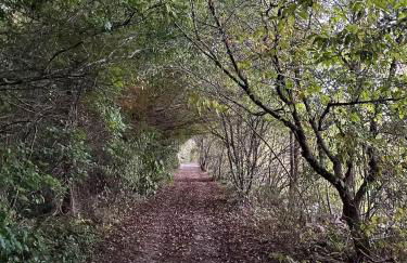 Scenic Cottage with Trails, Pond & Valley Views - Foto 41