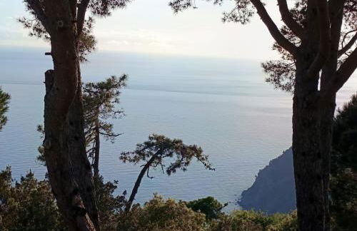 Total Relax Home by Holiday World - Foto 23