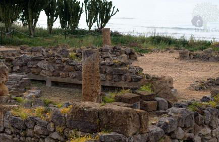 Ulivi di Cleo - Foto 60