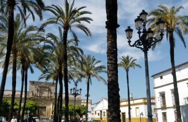 Azafran Jerez apartamentos - Foto 7