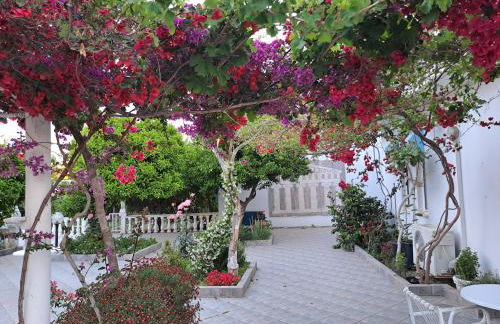 Hotel Apollon - Foto 44