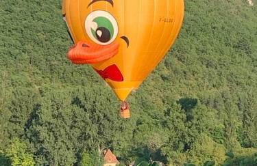 Castelnaud vue - Foto 23