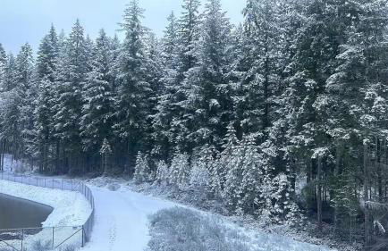 Serene Port Orchard Retreat - 3BR 3BA with Trails and Amazing Views - Foto 48