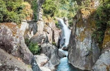 Oliveiras Misarela House - Photo 7