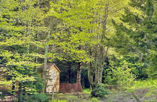 Cozy Off-Grid Cabin with Breathtaking Serene Views for a Peaceful Getaway Surrounded by Nature in Barton, Vermont - Foto 12