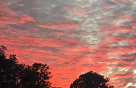 St. Johns Riverside Retreat - Photo 45