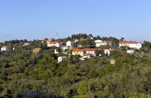 The House Aunt Regina - Foto 60