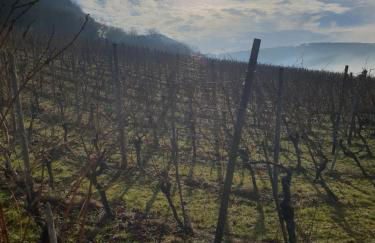 Studio 22, Terrasse,Pool,Sauna,Ofen - Foto 31