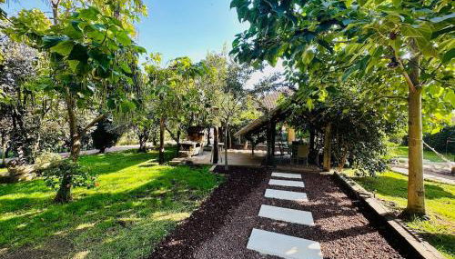 Finca La Ermita de Salinas-Rural House-Talavera-TO - Foto 3