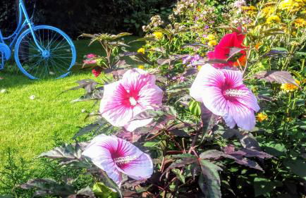 Mach mal Pause bei Geni & Bernd - Foto 8