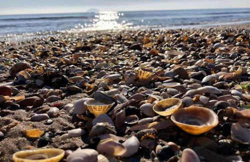 1 Bed in Turnberry 78071 - Foto 14