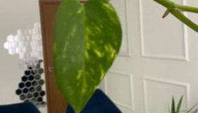 Club Residense apartamento - Foto 2