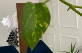 Club Residense apartamento - Foto 2